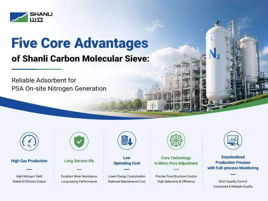 Cinque vantaggi fondamentali del setaccio molecolare di carbonio Shanli: adsorbente affidabile per la generazione di azoto in loco tramite PSA.